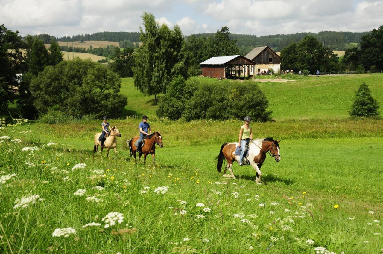 Hotel Lidmiluv Mlyn Sadek Esterno foto