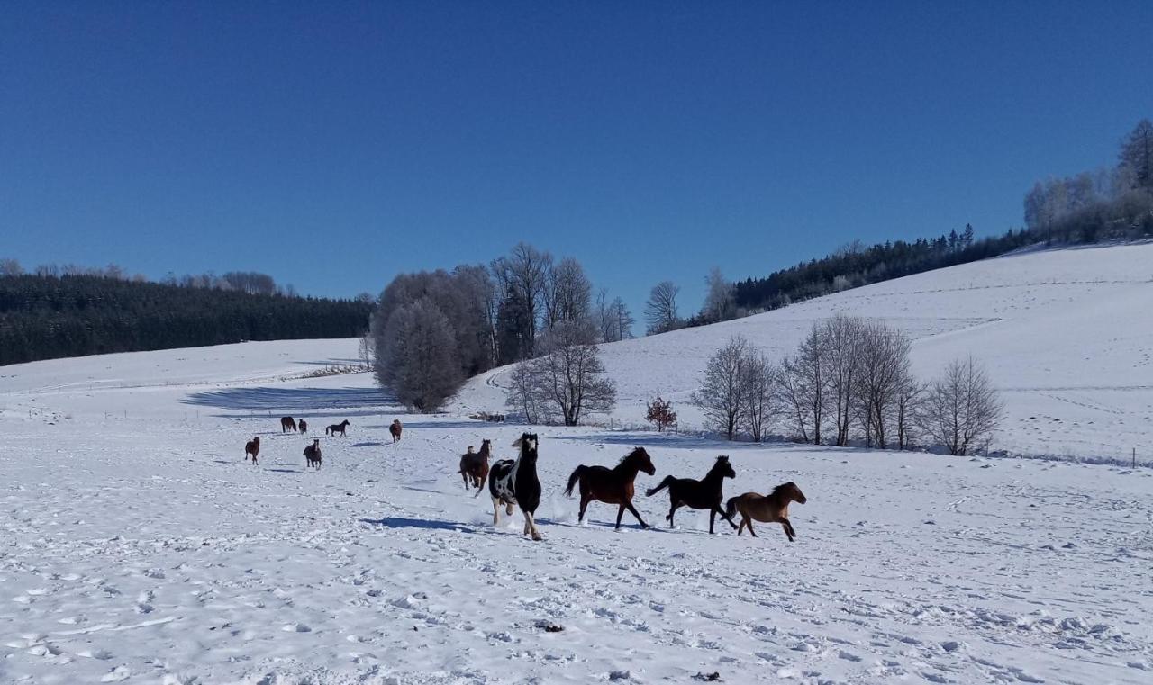 Hotel Lidmiluv Mlyn Sadek Esterno foto